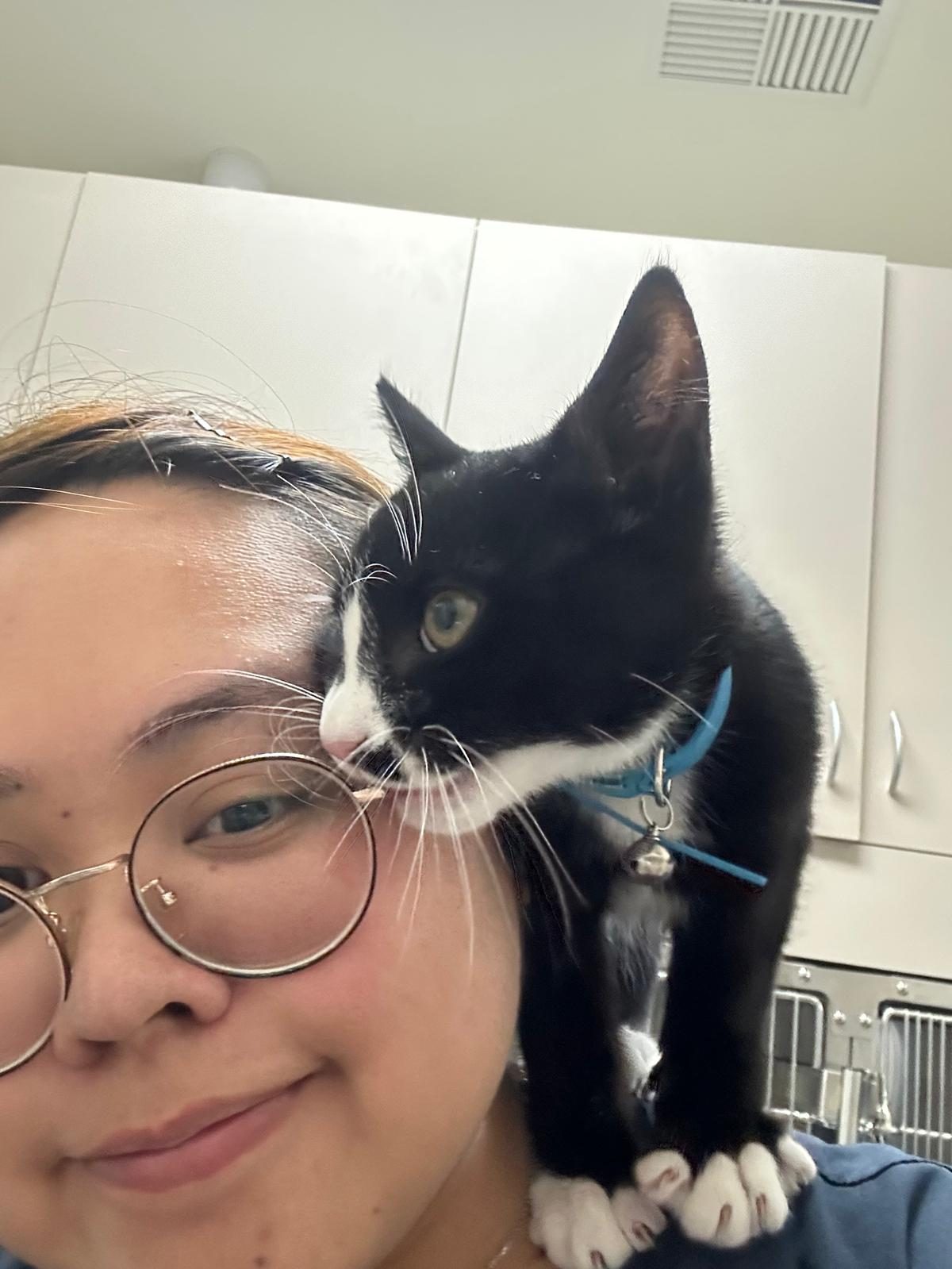 Pet sitter with a black and white cat nuzzling her face